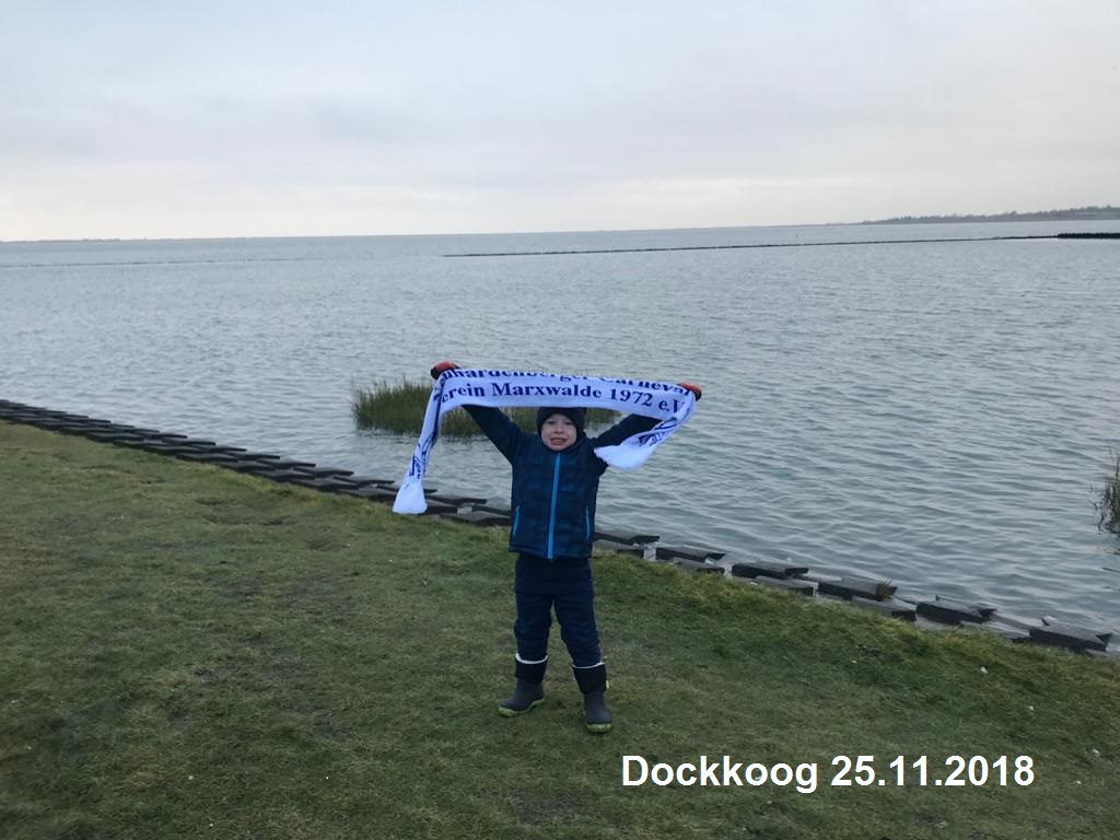 Dockkoog